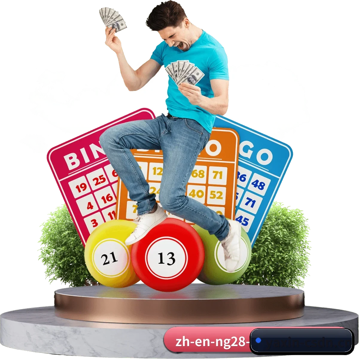 数字化生态重构